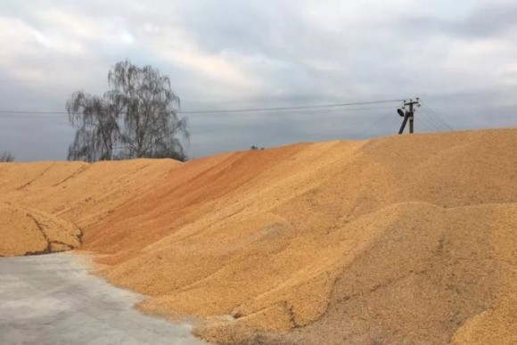 Окупанти поспішають вивезти зерно з окупованих територій фото, ілюстрація