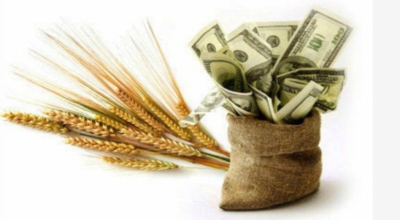 Частка фермерських позик у банках за останні роки не збільшилася фото, ілюстрація