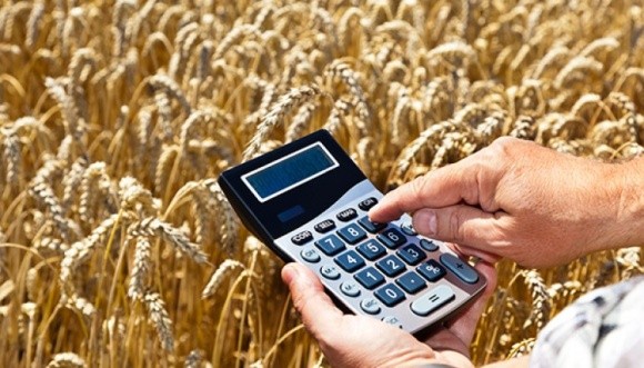 Комерційні банки надають аграріям кредити за пільговими відсотками  фото, ілюстрація
