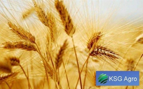  Агрохолдинг KSG Agro збільшив земельний банк майже до 24 тис. га фото, ілюстрація