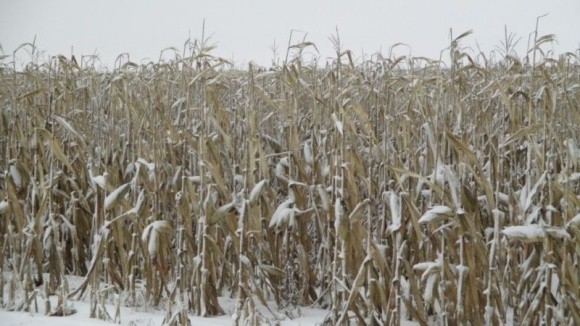 Американські метеорологи прогнозують холодні осінь і зиму в Північній півкулі фото, ілюстрація