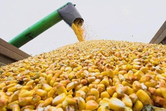 Експорт кукурудзи з України в 2016/17 сезоні виросте до 19 млн т фото, ілюстрація
