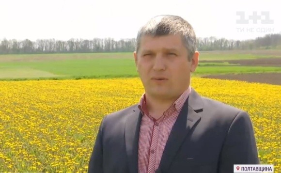 Кульбаба vs картопля: чому українські фермери відмовляються від городини на користь лікарських трав фото, ілюстрація
