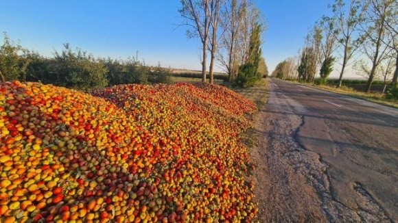 В Молдові на узбіччях доріг лежать купи яблук фото, ілюстрація
