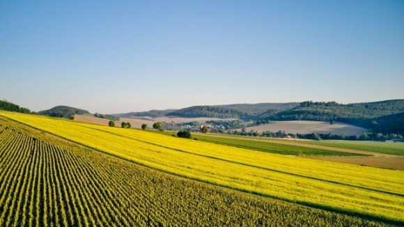 Cталий розвиток починається з насіння — KWS публікує програму цілей соціальної та екологічної відповідальності  фото, ілюстрація