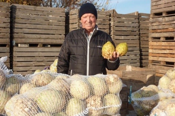 Фермер із Херсонщини проміняв картоплю на селеру  фото, ілюстрація
