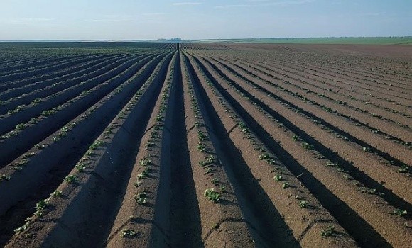 Збільшувати ліміти на купівлю земель під час війни несправедливо, – Денис Марчук фото, ілюстрація