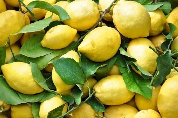 Ціни на лимони можуть оновити рекорд фото, ілюстрація
