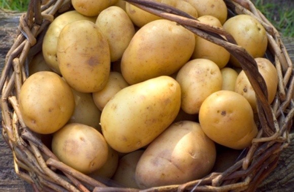 В Україні зібрали 22 млн т картоплі фото, ілюстрація