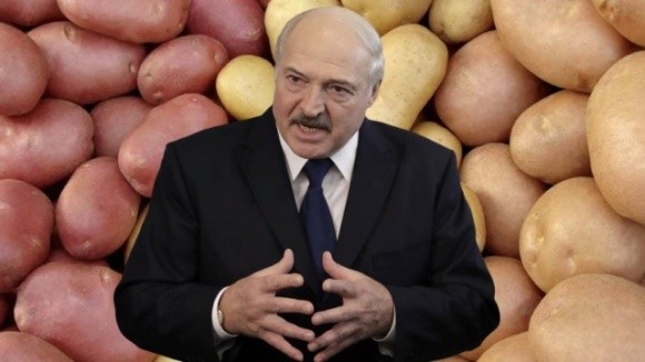 Лукашенко «годує» білорусів найдорожчою у Східній Європі картоплею фото, ілюстрація