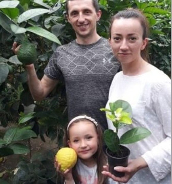 Поблизу Тернополя сім’я збирає врожаї лимонів, ананасів та бананів фото, ілюстрація