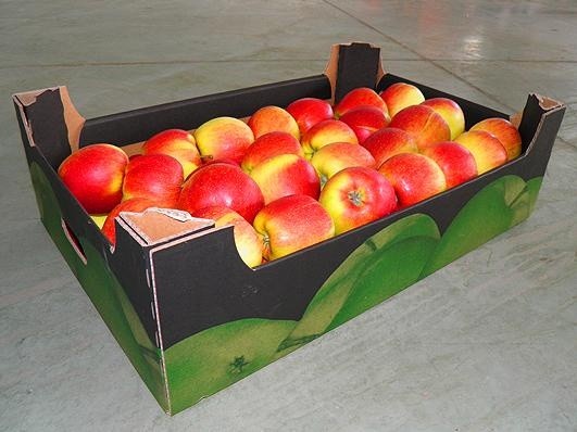 У Новій Зеландії розробили робота для пакування яблук фото, ілюстрація