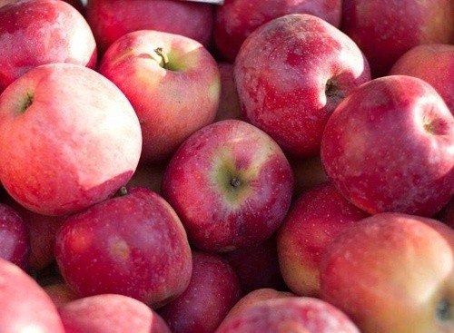 У травні Україною буде експортовано близько 10-12 тис. тон десертного яблука, - УПОА фото, ілюстрація