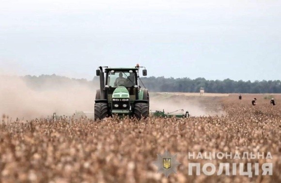  Агроному з Полтавщини оголосили підозру у вирощуванні нарковмісного маку на 7 млрд грн фото, ілюстрація