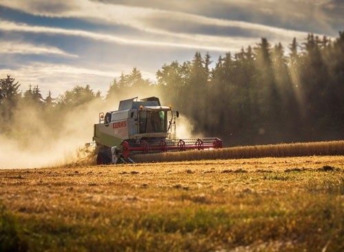 Сельскохозяйственное производство в Николаевской области выросло на 22% |  Пропозиція - Главный журнал по вопросам агробизнеса