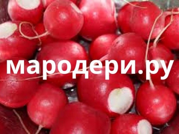 В окупованому Криму продають овочі, вкрадені у запорізьких та херсонських фермерів фото, ілюстрація