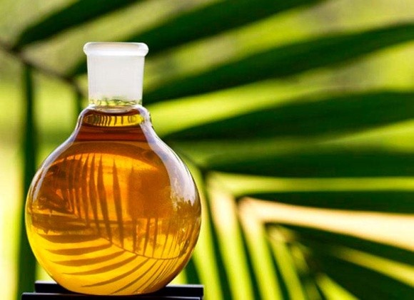 Заборона на пальмову олію призведе до подорожчання продуктів фото, ілюстрація