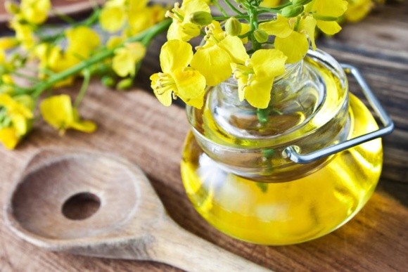 Україна збільшила експорт соняшникової та соєвої олії фото, ілюстрація