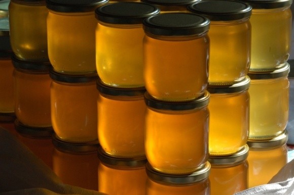 Бджолярі розповіли, який мед краще купувати цього сезону фото, ілюстрація