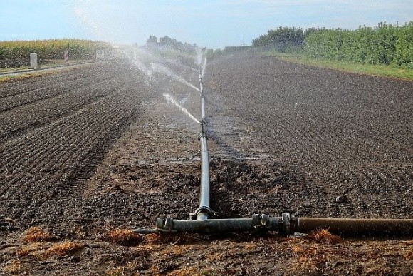 Україна потребує модернізації системи зрошення через зміну клімату і воєнні дії, – Тарас Висоцький фото, ілюстрація