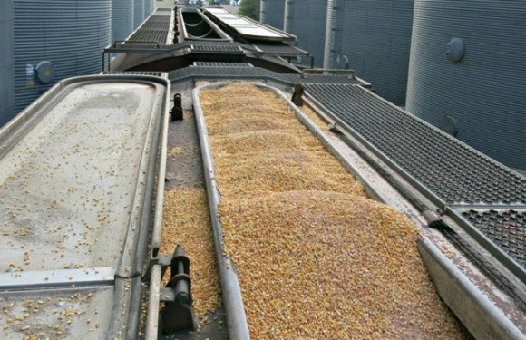 Молдова знизить вартість транзиту українського зерна на 25% фото, ілюстрація
