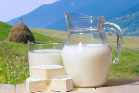 «ЕтноПродукту» не вистачає молочки, щоб задовольнити попит ОАЕ фото, ілюстрація