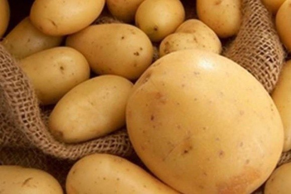 Ринок молодої картоплі — незадоволені всі фото, иллюстрация