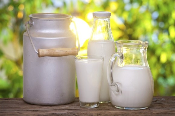 В ЄС очікують підвищення закупівельних цін на молоко і зменшення поголів'я корів фото, ілюстрація