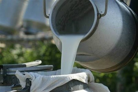 Українські фермери приховують собівартість молока, — експерт фото, ілюстрація