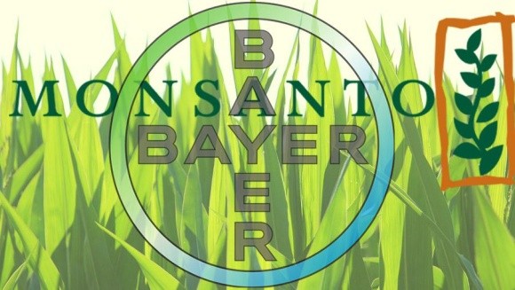 В Індії широко обговорюється альянс Monsanto і Bayer фото, ілюстрація