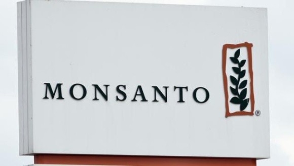 Monsanto виступила на захист своїх досліджень по ГМО фото, ілюстрація
