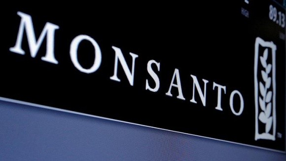 Monsanto купує в Україні насіннєвий завод кукурудзи "Ерідона" фото, ілюстрація