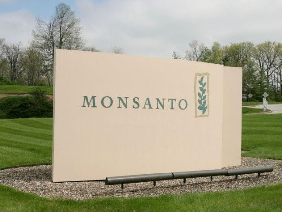 Використання протруйників зростає через недотримання сівозмін, — Monsanto фото, ілюстрація