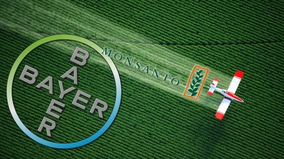 У Німеччині сумніваються в доцільності злиття Monsanto з Bayer  фото, ілюстрація