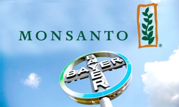 Bayer і Monsanto розпродають активи на $2,5 млрд фото, ілюстрація