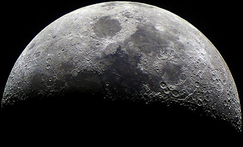 Росток бавовни загинув на Місяці: вчені розповіли про подію в космосі фото, ілюстрація