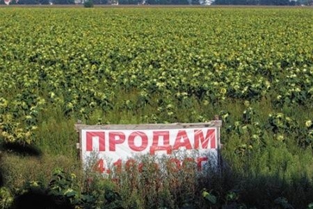 В Украине разработают закон для отмены моратория на землю фото, иллюстрация