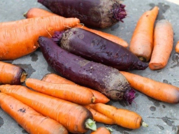 В Україні дешевшають морква та буряк фото, ілюстрація