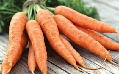 Ціна на моркву продовжує падати фото, ілюстрація