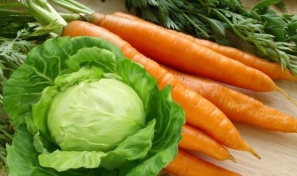 Морква та капуста замість салатів: виробники овочів переорієнтовують виробництво фото, ілюстрація