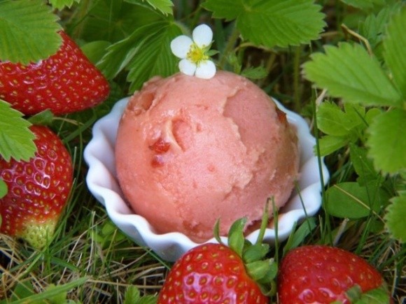 На ягодной ферме из земляники производит крафтовое мороженое фото, иллюстрация