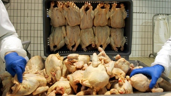 Росія заборонить понад 10 європейським країнам імпортувати м'ясо і яйця фото, ілюстрація