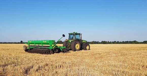 На Дніпропетровщині після збирання гороху та озимої пшениці сіють амарант фото, ілюстрація