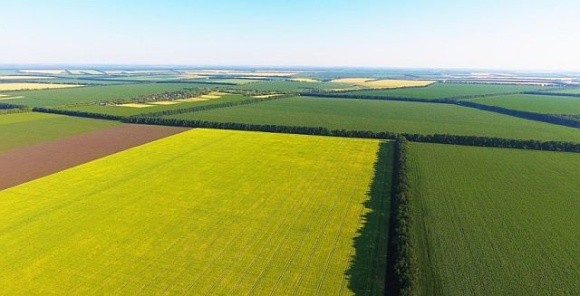 Справа є – землі немає. НАБУ шукає землі, в захопленні яких звинувачують ексміністра Миколу Сольського фото, ілюстрація