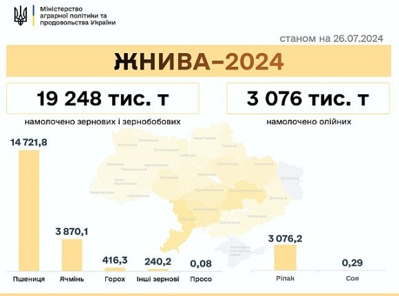 Жнива 2024: намолочено 22 млн т зернових та олійних фото, ілюстрація