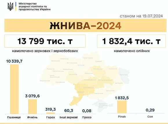 Жнива-2024: намолотили 15,7 млн т зернових та олійних фото, ілюстрація