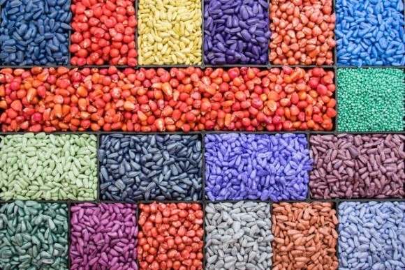 Комітет Європарламенту схвалив визнання системи сертифікації насіння України фото, ілюстрація