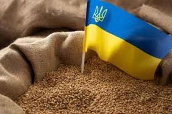 НАТО та Україна обговорять питання експорту української агропродукції фото, ілюстрація