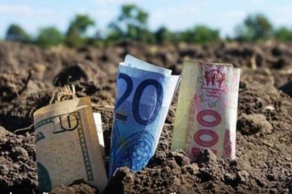 У січні найдорожча земля була в Івано-Франківській області фото, ілюстрація