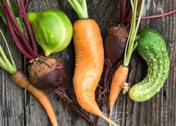 Дослідники встановили, як продати «некрасиві» фрукти та овочі фото, ілюстрація